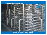 Process Piping System